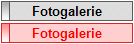 Fotogalerie